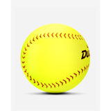 Dudley Team Autograph Softball-2