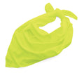 Augusta Oversized Bandana Augusta