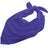 Augusta Oversized Bandana Augusta