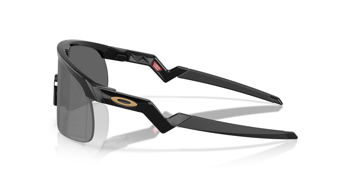 Oakley Resistor Sunglasses-3