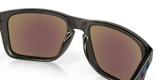Oakley Holbrook XL Glasses-11
