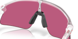 Oakley Stunt Devil Sunglasses-7
