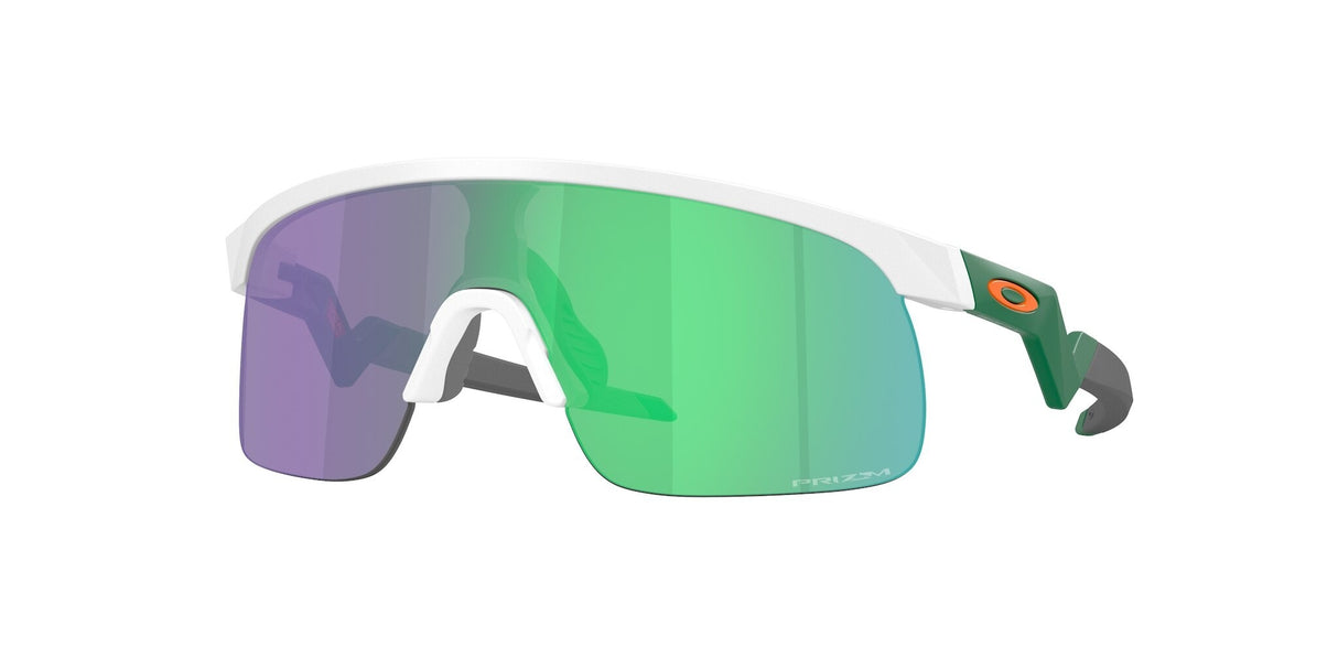 Oakley Resistor Sunglasses-1