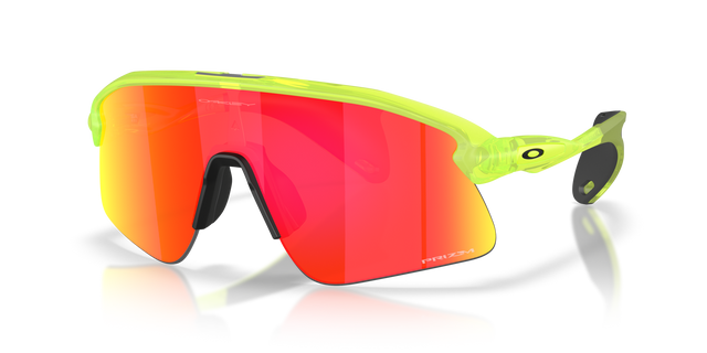 Oakley Stunt Devil Sunglasses-2