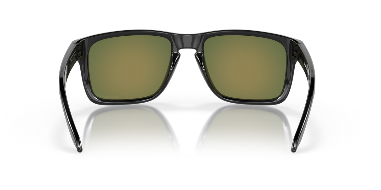 Oakley Holbrook XL Glasses-7