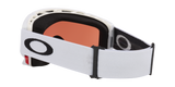 Oakley Flow Scape AF M Snow Goggles-7