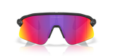 Oakley Stunt Devil Sunglasses-8