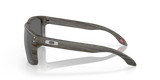 Oakley Holbrook XL Glasses-5