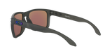 Oakley Holbrook XL Glasses-12