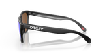 Oakley Frogskins Glasses-5
