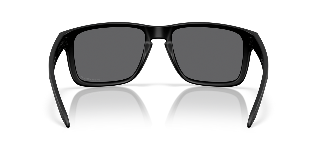 Oakley Holbrook XXL Glasses-4