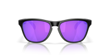 Oakley Frogskins S Glasses-8