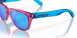 Oakley Frogskins XXS Glasses-9