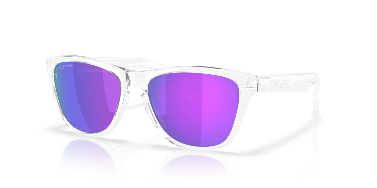 Oakley Frogskins S Glasses-2
