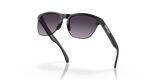 Oakley Frogskins Lite Glasses-9