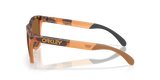 Oakley Frogskins Range XL A Glasses-3