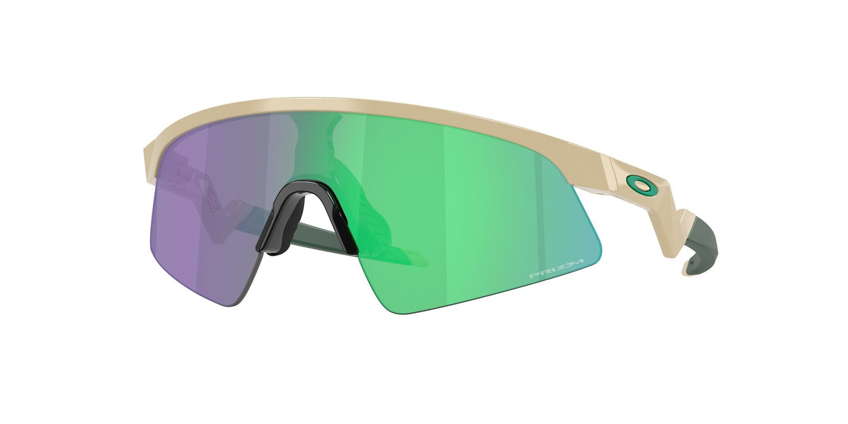 Oakley Resistor Sweep Sunglasses-1