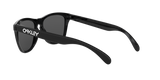 Oakley Frogskins Glasses-12