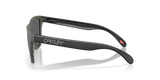 Oakley Frogskins A Glasses-3