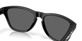 Oakley Frogskins S Glasses-7