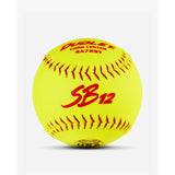 Dudley One Dozen USASB SB12 Synthetic Slowpitch Softballs
