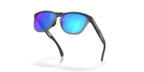 Oakley Frogskins Range Glasses-5