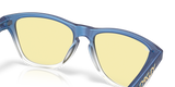 Oakley Frogskins S Glasses-7