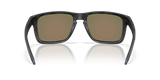Oakley Holbrook XXL Glasses-4