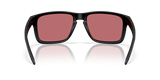 Oakley Holbrook XXL A Glasses-4