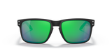 Oakley Holbrook NFL Glasses-10