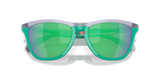 Oakley Frogskins Range Glasses-9
