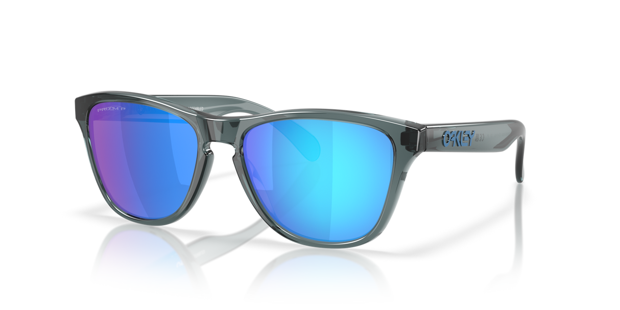 Oakley Frogskins S Glasses-2