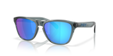 Oakley Frogskins S Glasses-2