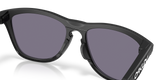 Oakley Frogskins Range XL A Glasses-7