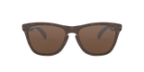 Oakley Frogskins Glasses-2