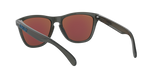 Oakley Frogskins A Glasses-12