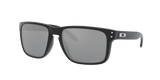 Oakley Holbrook XL Glasses-5