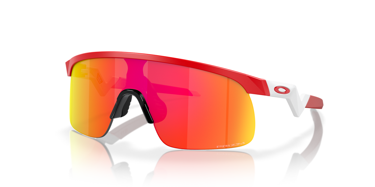 Oakley Resistor Sunglasses-2