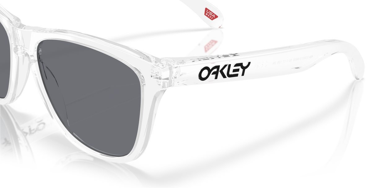 Oakley Frogskins Glasses-6