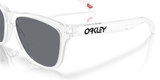 Oakley Frogskins Glasses-6