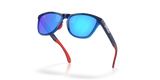 Oakley Frogskins Range Glasses-5