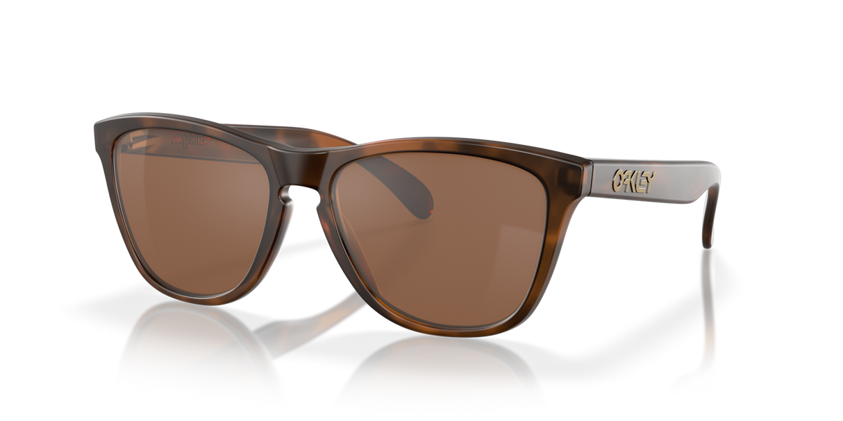 Oakley Frogskins Glasses-3