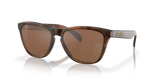 Oakley Frogskins Glasses-3