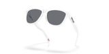 Oakley Frogskins Glasses-5