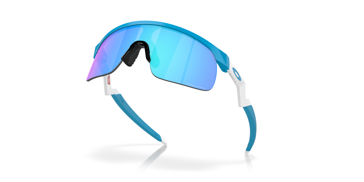 Oakley Resistor Sunglasses-5