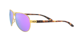 Oakley Feedback Glasses-6