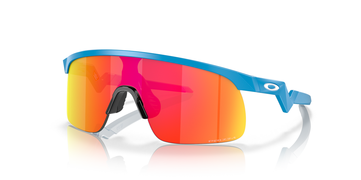 Oakley Resistor Sunglasses-2