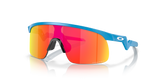 Oakley Resistor Sunglasses-2