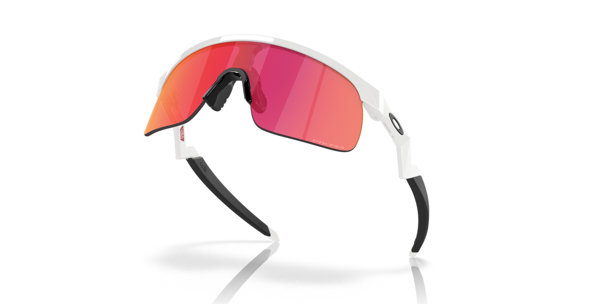 Oakley Resistor Sunglasses-8