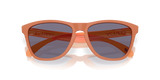 Oakley Frogskins Glasses-9